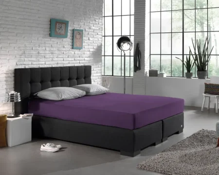 Dreamhouse Enkel Jersey 135 gr. Hoeslaken Paars 140 x 200 cm