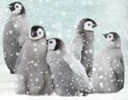 Good Morning Kinderdekbedovertrek "pinguins" - Blauw - (140x200/220 cm) - Katoen Flanel
