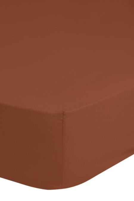 Terra - (180x220 cm) - Katoen