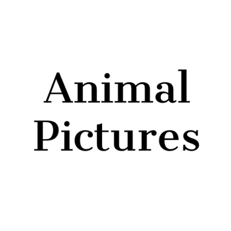 Animal Pictures dekbedovertrek