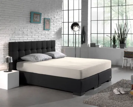 Dreamhouse Dubbel Jersey 220 gr. Hoeslaken Creme 140 x 200/220 cm