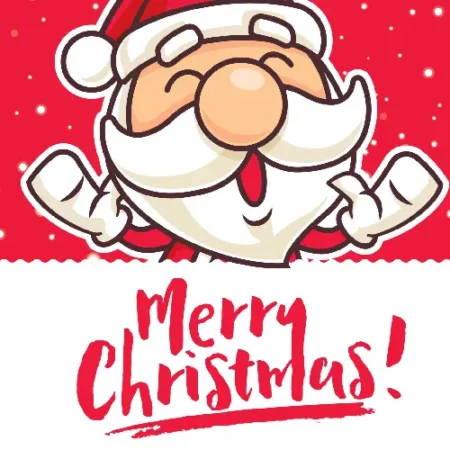 Kerst dekbedovertrek