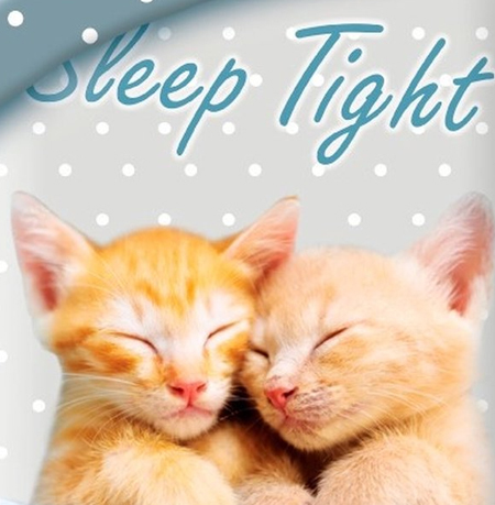 Katten dekbedovertrek