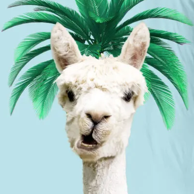 Lama dekbedovertrek